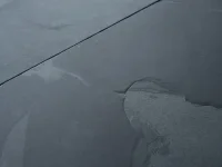 Плитка сланец Black Brushed Brazil 600 x 300 x 10 мм (1,08 м2 / 6 шт)