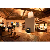 Чугунная печь Morsø 1630 (Morso)